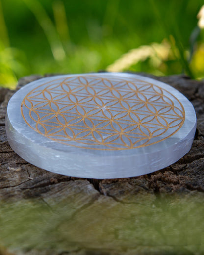 Selenite Incense Holder